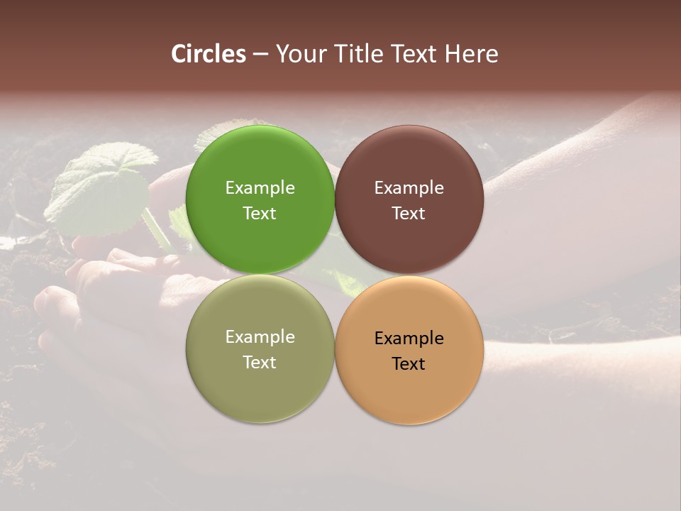 Closeup Farm Rural PowerPoint Template