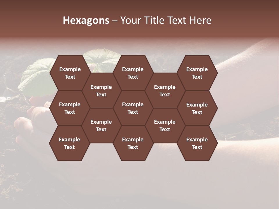 Closeup Farm Rural PowerPoint Template