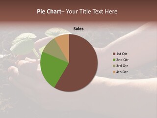 Closeup Farm Rural PowerPoint Template