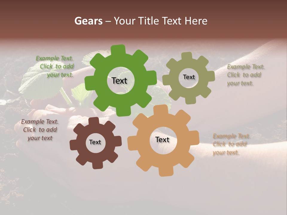 Closeup Farm Rural PowerPoint Template