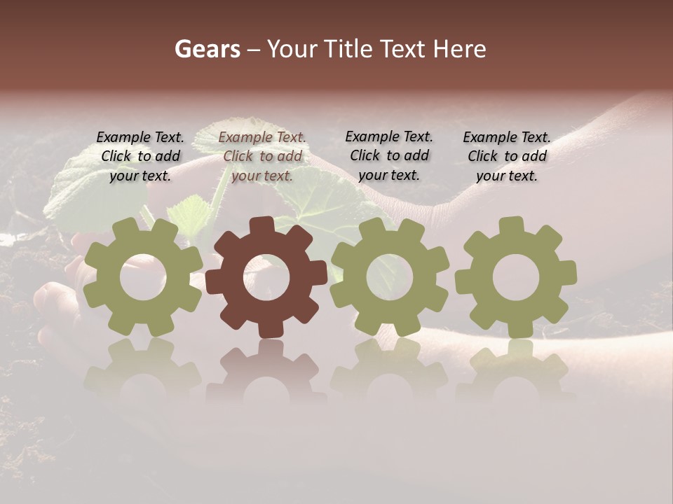 Closeup Farm Rural PowerPoint Template