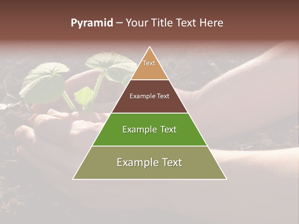 Closeup Farm Rural PowerPoint Template