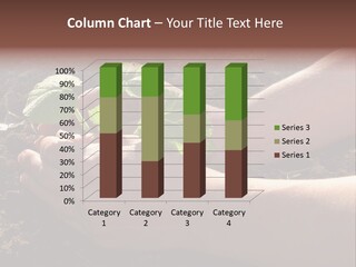 Closeup Farm Rural PowerPoint Template
