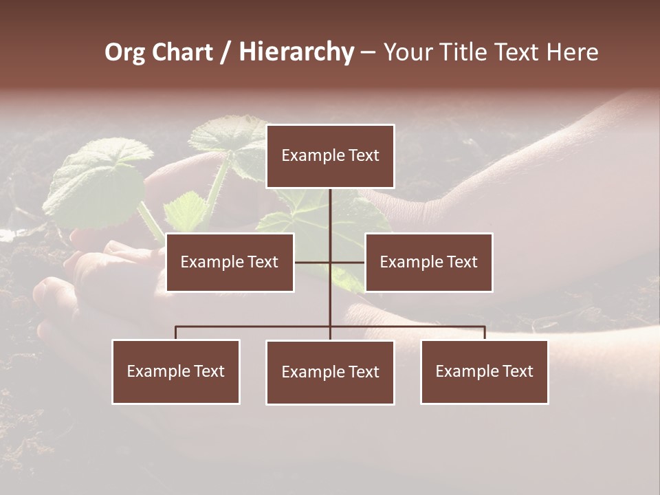 Closeup Farm Rural PowerPoint Template