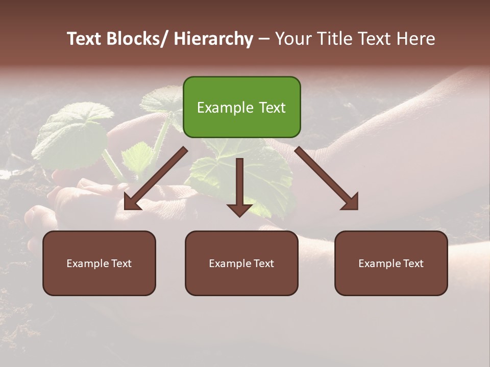 Closeup Farm Rural PowerPoint Template