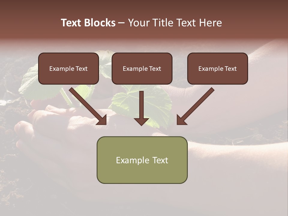 Closeup Farm Rural PowerPoint Template