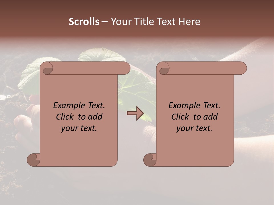 Closeup Farm Rural PowerPoint Template