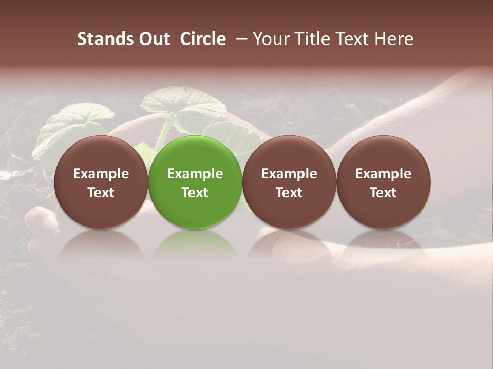 Closeup Farm Rural PowerPoint Template