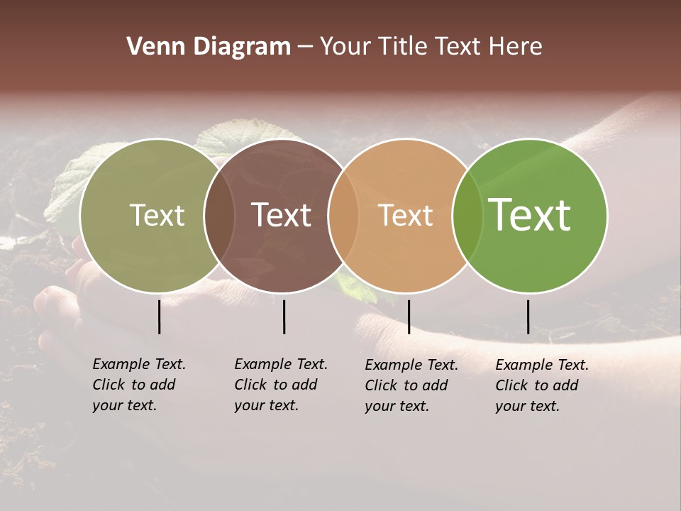 Closeup Farm Rural PowerPoint Template