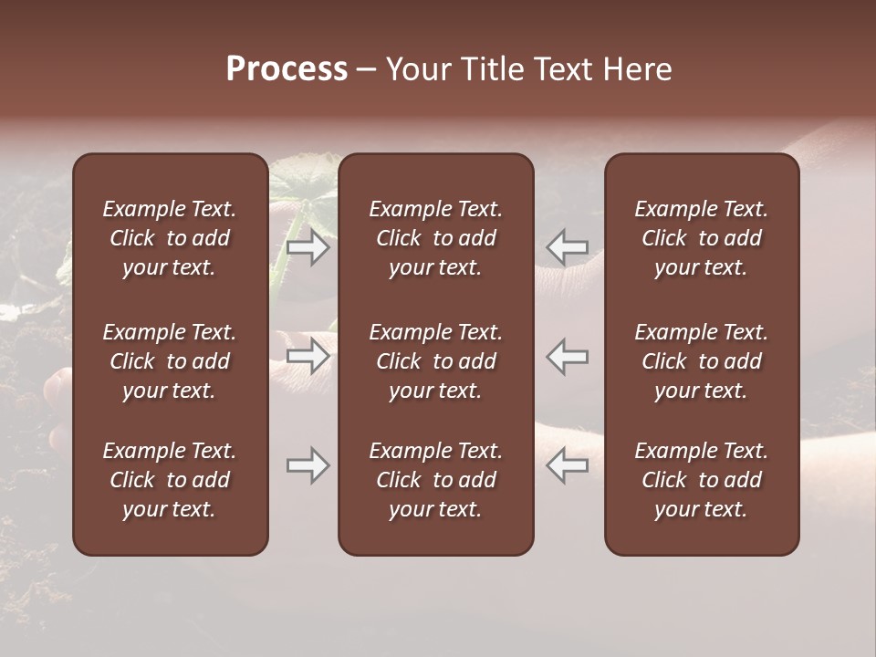 Closeup Farm Rural PowerPoint Template