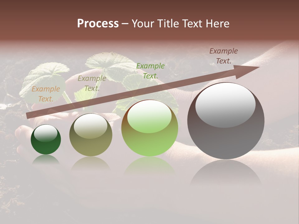 Closeup Farm Rural PowerPoint Template