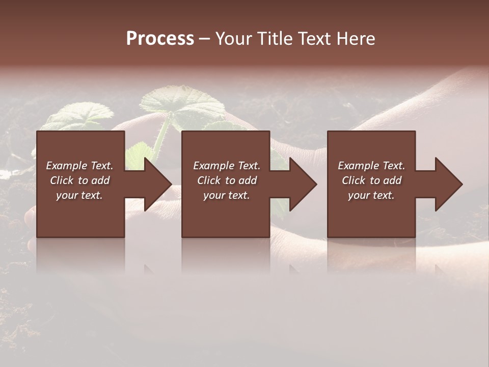 Closeup Farm Rural PowerPoint Template