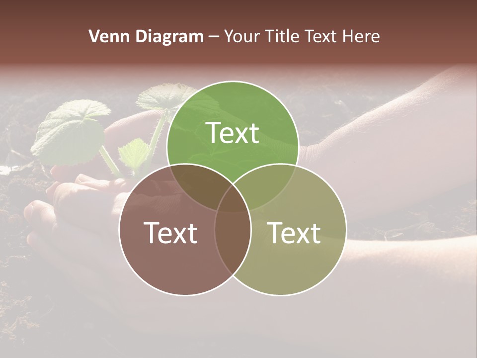 Closeup Farm Rural PowerPoint Template