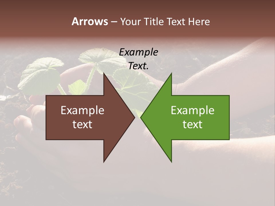 Closeup Farm Rural PowerPoint Template