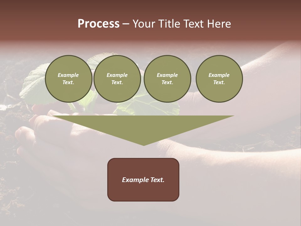 Closeup Farm Rural PowerPoint Template