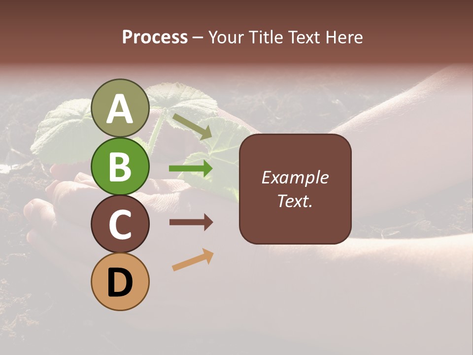 Closeup Farm Rural PowerPoint Template