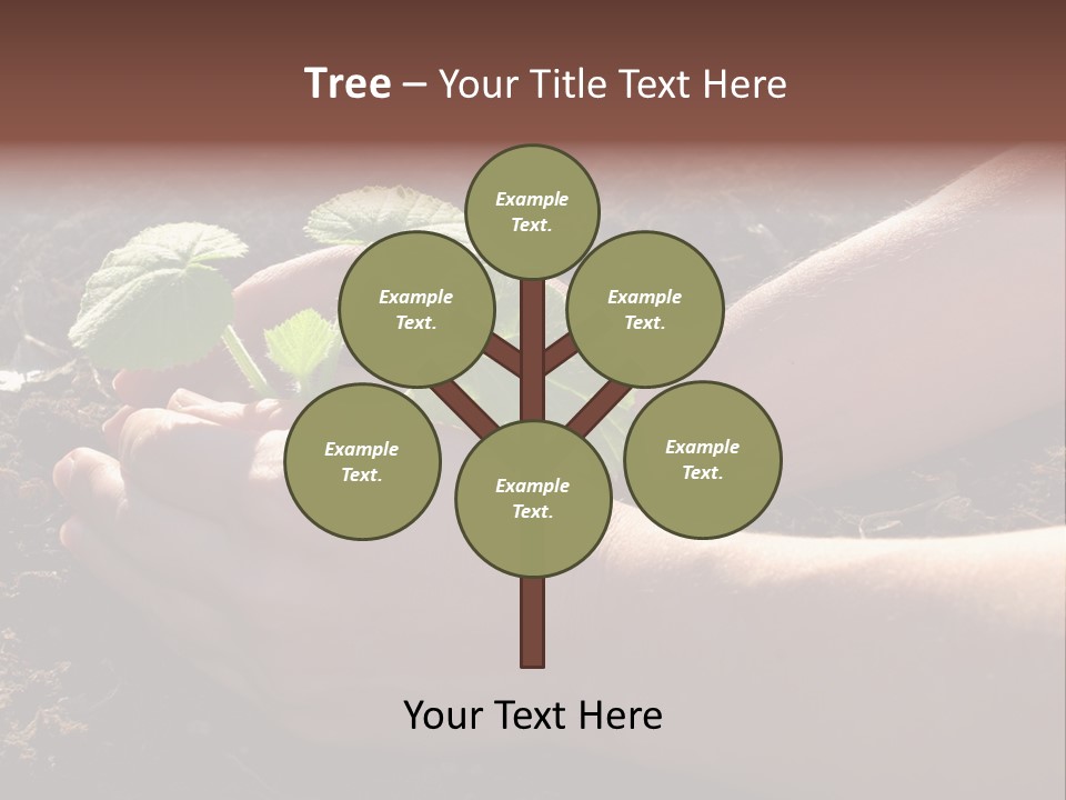 Closeup Farm Rural PowerPoint Template