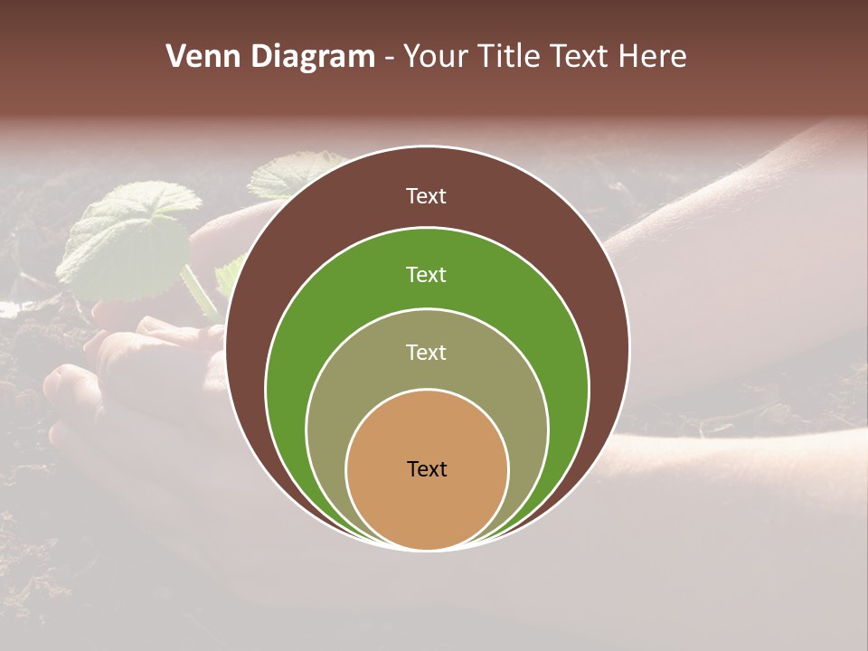Closeup Farm Rural PowerPoint Template