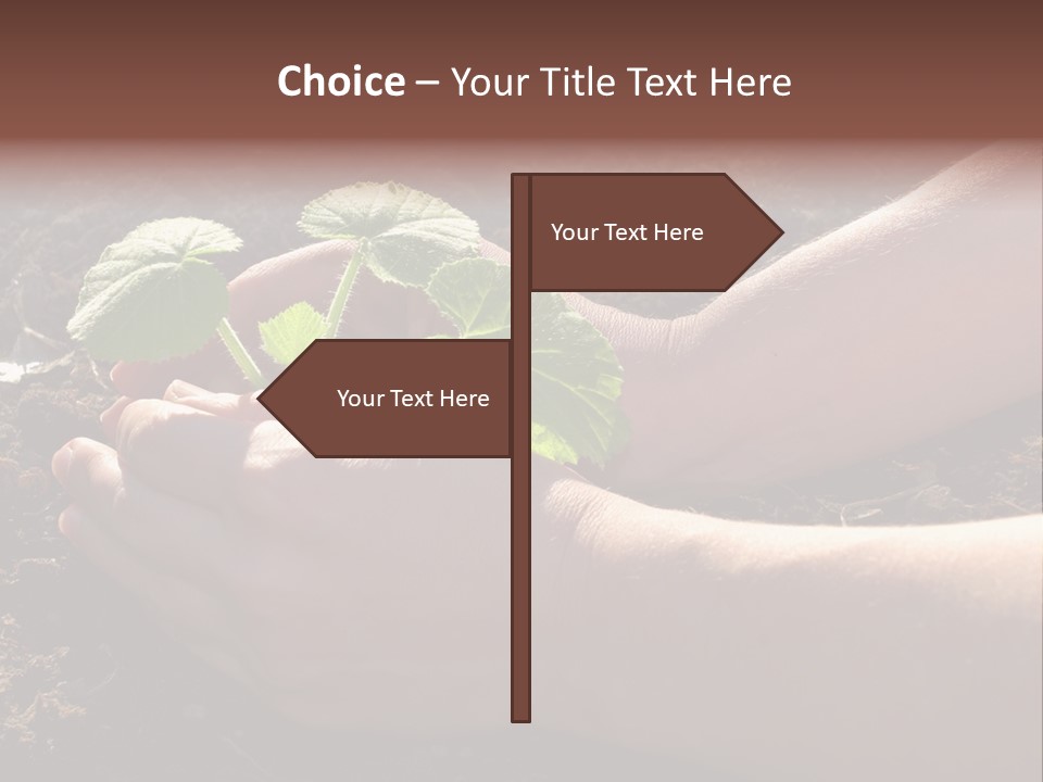 Closeup Farm Rural PowerPoint Template