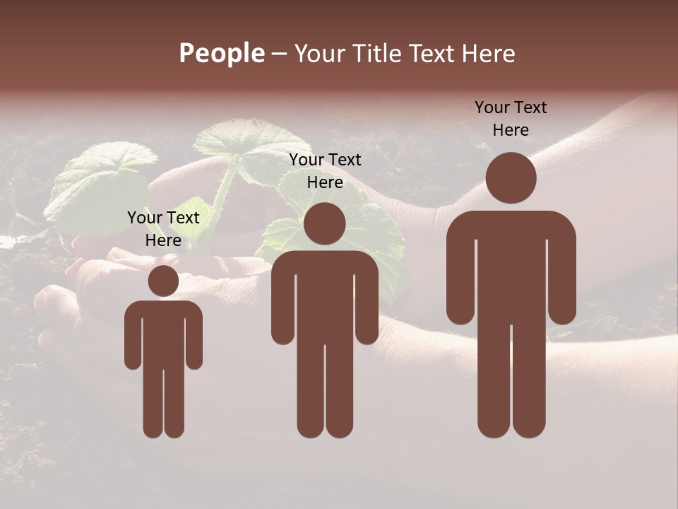 Closeup Farm Rural PowerPoint Template