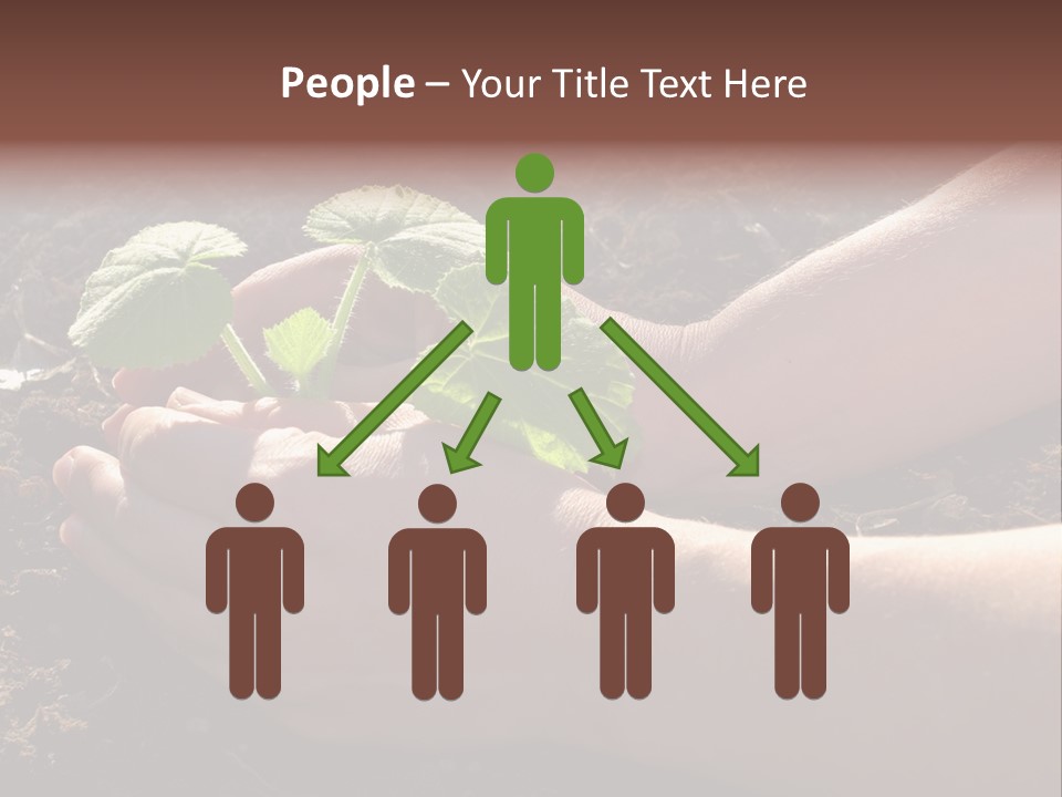 Closeup Farm Rural PowerPoint Template