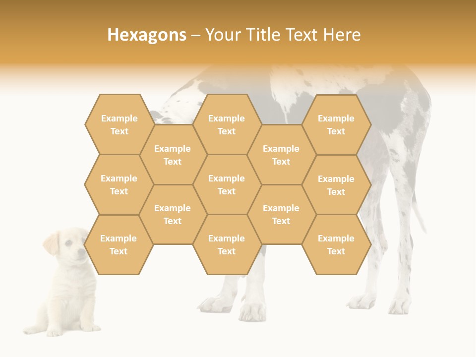 Puppy Black Cut PowerPoint Template