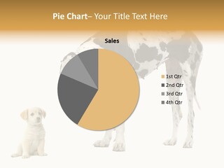 Puppy Black Cut PowerPoint Template