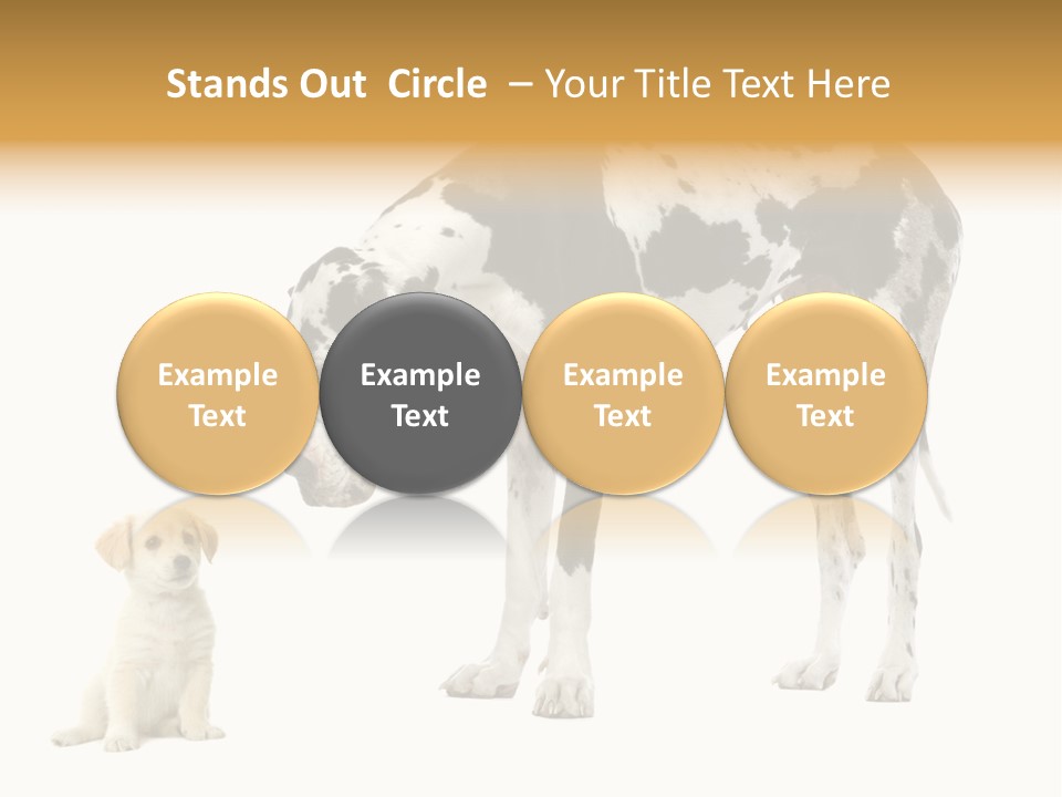 Puppy Black Cut PowerPoint Template