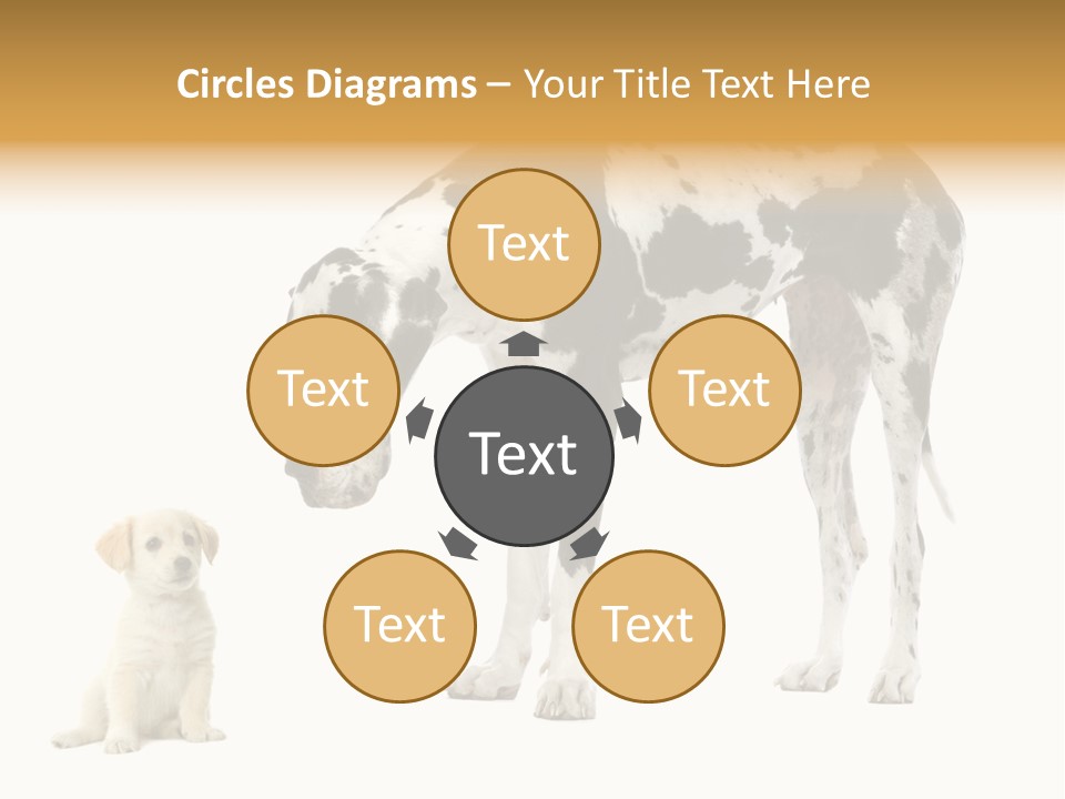 Puppy Black Cut PowerPoint Template