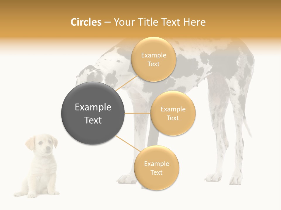 Puppy Black Cut PowerPoint Template