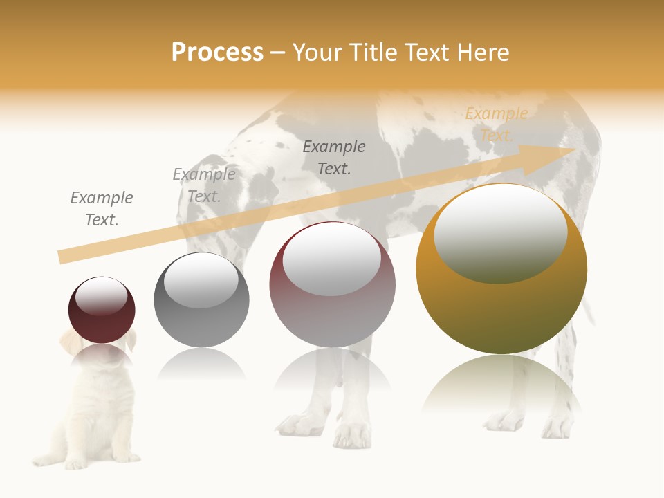 Puppy Black Cut PowerPoint Template