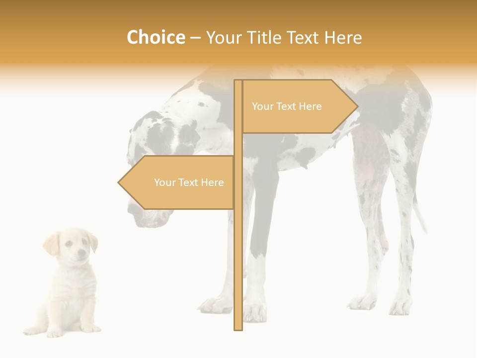 Puppy Black Cut PowerPoint Template