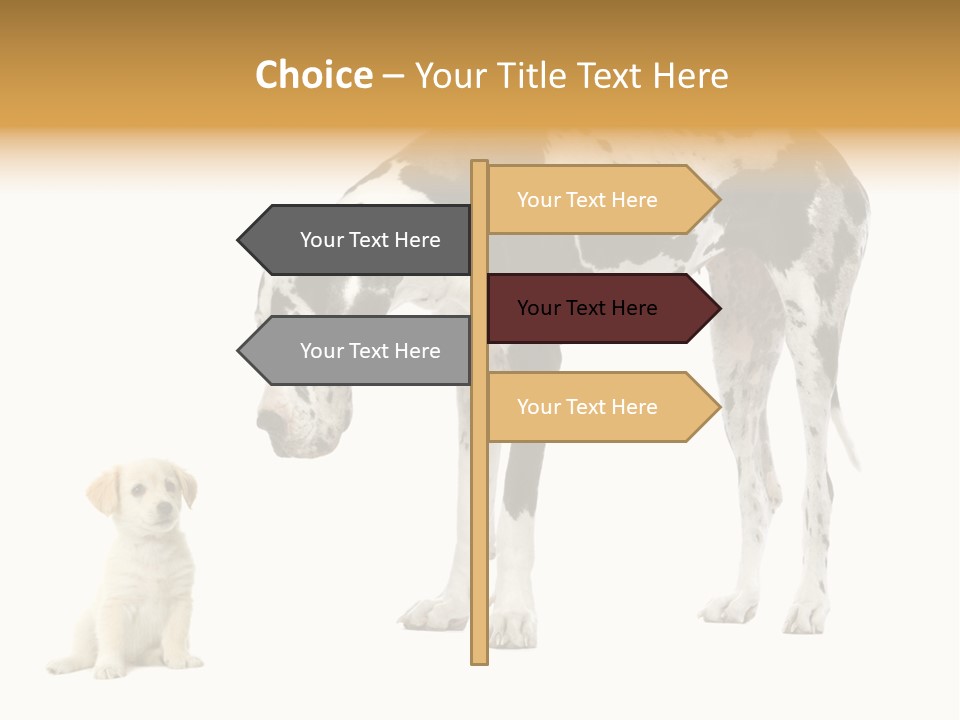 Puppy Black Cut PowerPoint Template