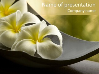 Relaxation Water Spa PowerPoint Template