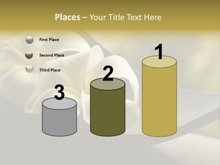 Relaxation Water Spa PowerPoint Template