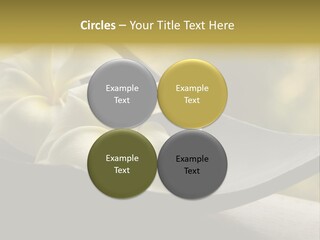 Relaxation Water Spa PowerPoint Template