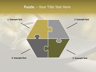 Relaxation Water Spa PowerPoint Template