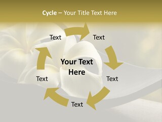 Relaxation Water Spa PowerPoint Template