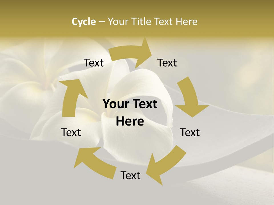 Relaxation Water Spa PowerPoint Template