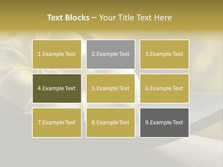 Relaxation Water Spa PowerPoint Template