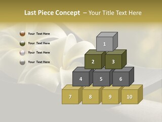 Relaxation Water Spa PowerPoint Template