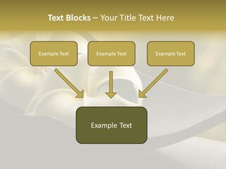 Relaxation Water Spa PowerPoint Template