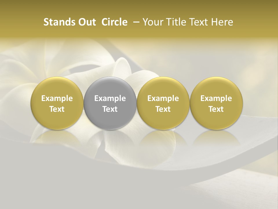 Relaxation Water Spa PowerPoint Template
