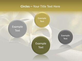 Relaxation Water Spa PowerPoint Template