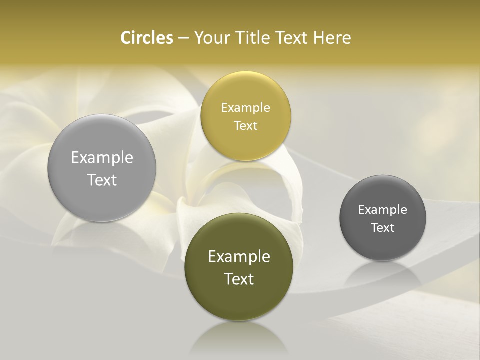 Relaxation Water Spa PowerPoint Template