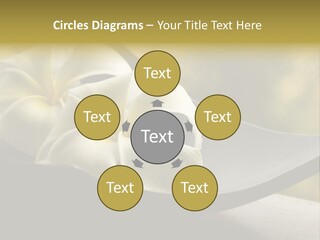 Relaxation Water Spa PowerPoint Template