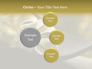 Relaxation Water Spa PowerPoint Template