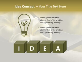 Relaxation Water Spa PowerPoint Template