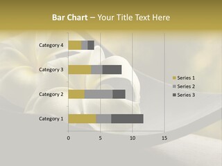 Relaxation Water Spa PowerPoint Template
