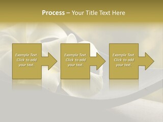 Relaxation Water Spa PowerPoint Template